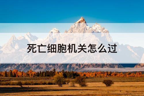 死亡细胞机关怎么过