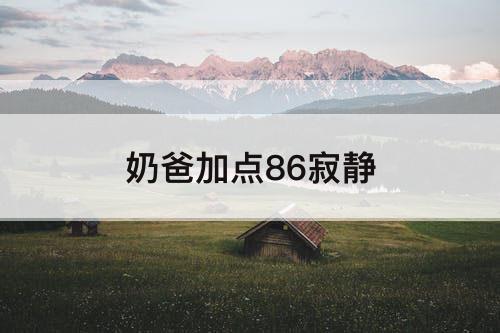 奶爸加点86寂静