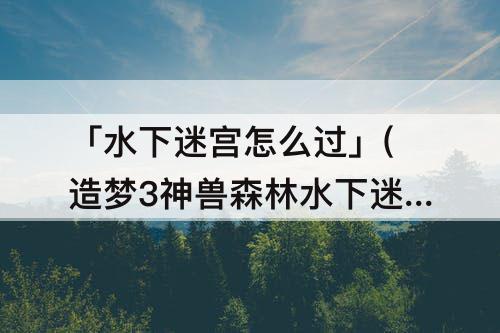 「水下迷宫怎么过」(造梦3神兽森林水下迷宫怎么过)