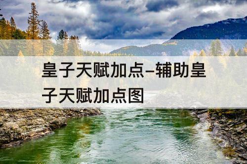 皇子天赋加点-辅助皇子天赋加点图