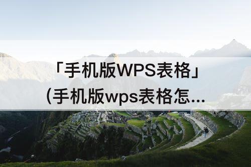 「手机版WPS表格」(手机版wps表格怎么换行打字)