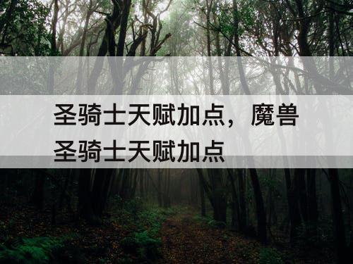 圣骑士天赋加点，魔兽圣骑士天赋加点