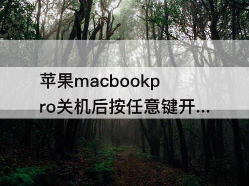 苹果macbookpro关机后按任意键开机