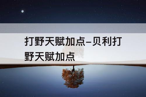 打野天赋加点-贝利打野天赋加点