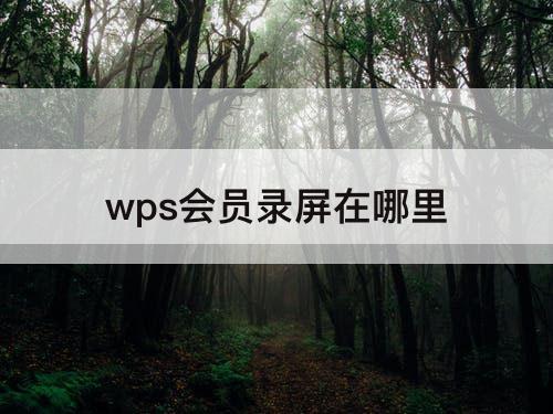 wps会员录屏在哪里