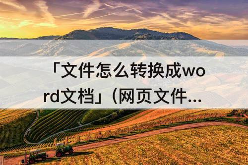 「文件怎么转换成word文档」(网页文件怎么转换成word文档)