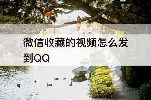 微信收藏的视频怎么发到QQ