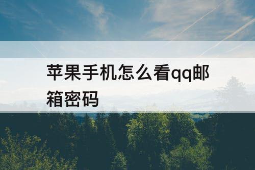 苹果手机怎么看qq邮箱密码