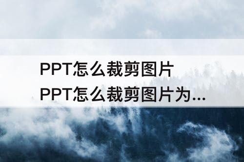 PPT怎么裁剪图片 PPT怎么裁剪图片为六边形