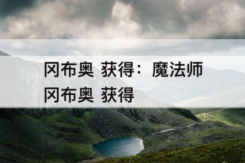冈布奥 获得：魔法师冈布奥 获得