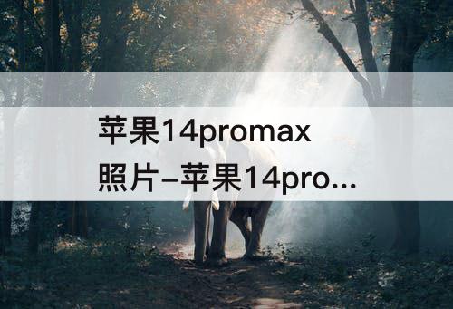 苹果14promax照片-苹果14promax照片抠图
