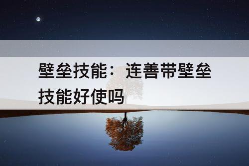 壁垒技能：连善带壁垒技能好使吗