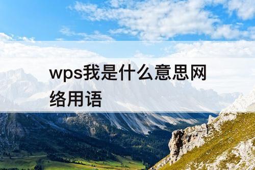 wps我是什么意思网络用语