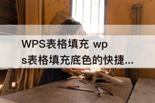 WPS表格填充 wps表格填充底色的快捷键