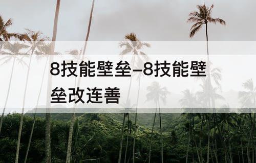 8技能壁垒-8技能壁垒改连善