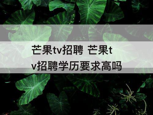 芒果tv招聘 芒果tv招聘学历要求高吗