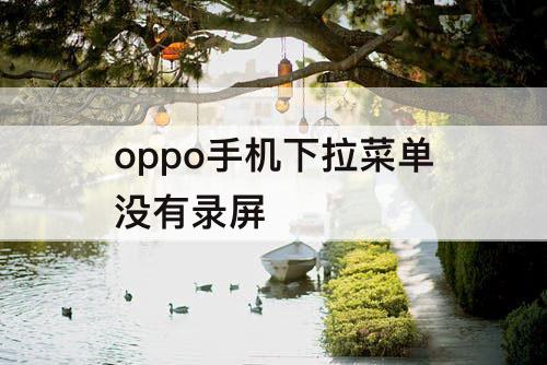 oppo手机下拉菜单没有录屏