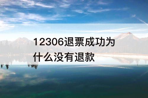 12306退票成功为什么没有退款