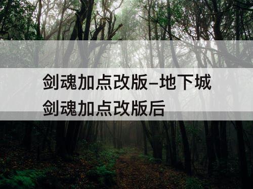 剑魂加点改版-地下城剑魂加点改版后
