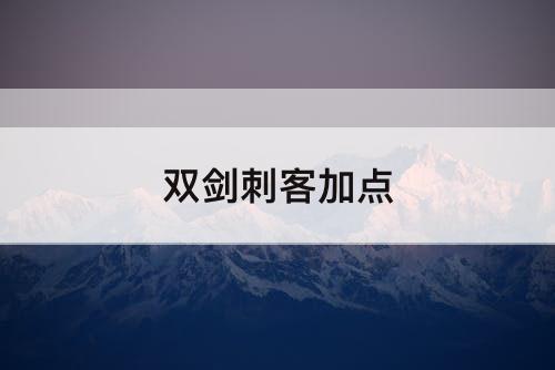 双剑刺客加点