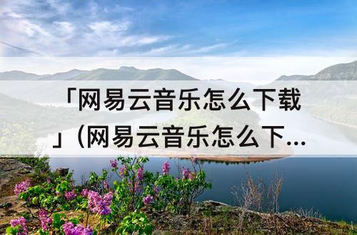 「网易云音乐怎么下载」(网易云音乐怎么下载视频)