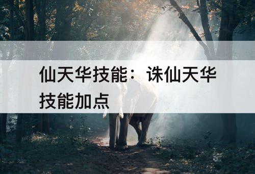 仙天华技能：诛仙天华技能加点