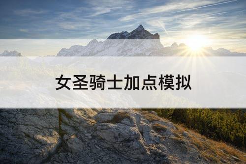 女圣骑士加点模拟