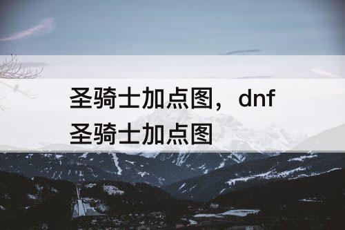 圣骑士加点图，dnf圣骑士加点图