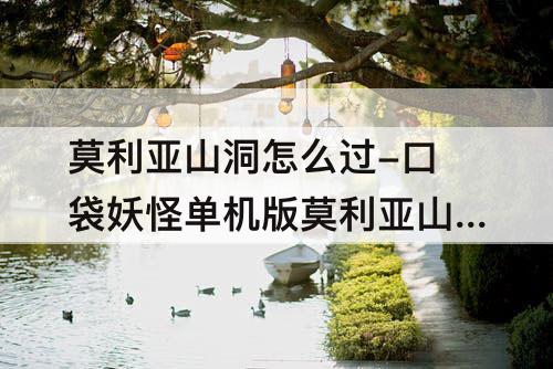 莫利亚山洞怎么过-口袋妖怪单机版莫利亚山洞怎么过攻略教程