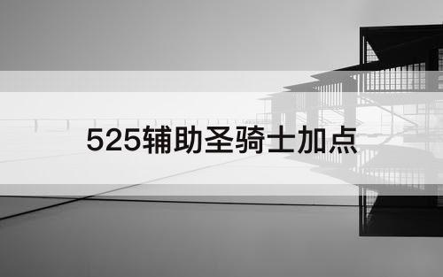 525辅助圣骑士加点