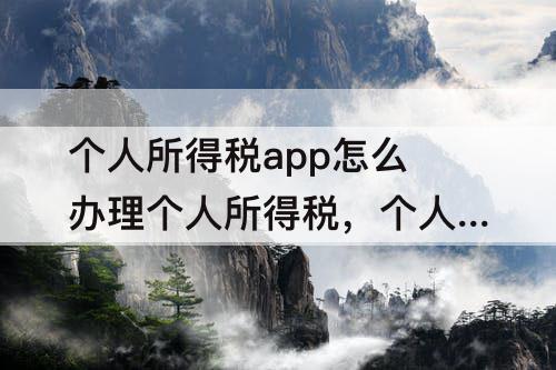 个人所得税app怎么办理个人所得税，个人所得税app怎么办理个人所得税完税资料