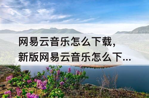 网易云音乐怎么下载，新版网易云音乐怎么下载mp3格式