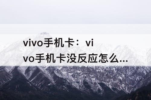 vivo手机卡：vivo手机卡没反应怎么回事