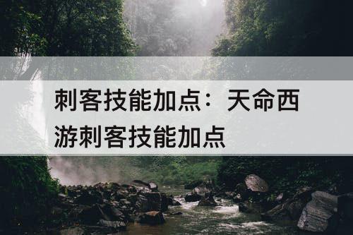刺客技能加点：天命西游刺客技能加点