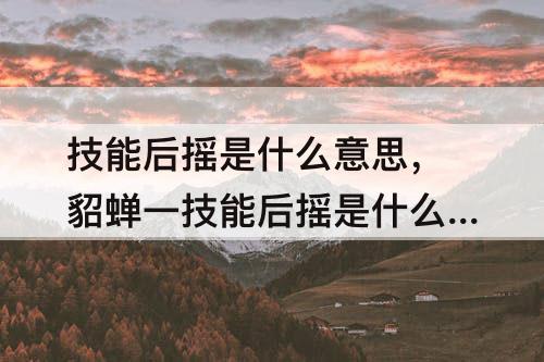 技能后摇是什么意思，貂蝉一技能后摇是什么意思