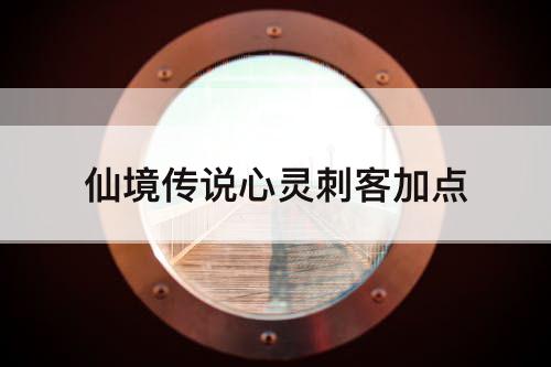 仙境传说心灵刺客加点