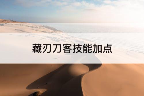 藏刃刀客技能加点