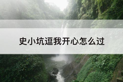 史小坑逗我开心怎么过