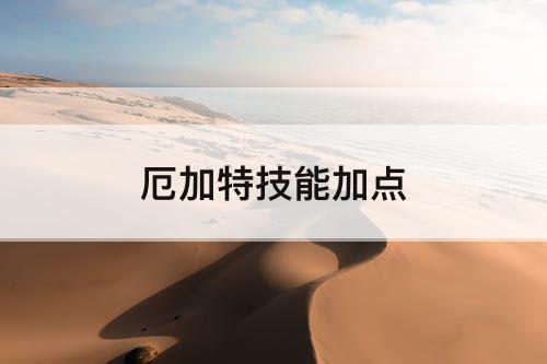 厄加特技能加点