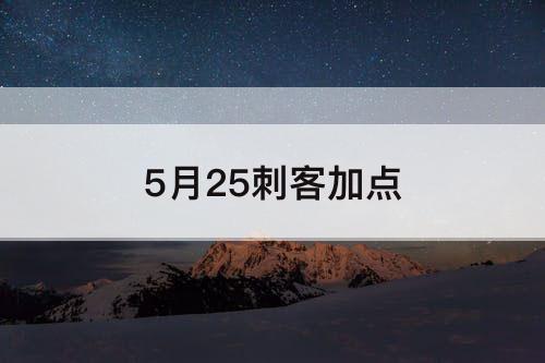 5月25刺客加点
