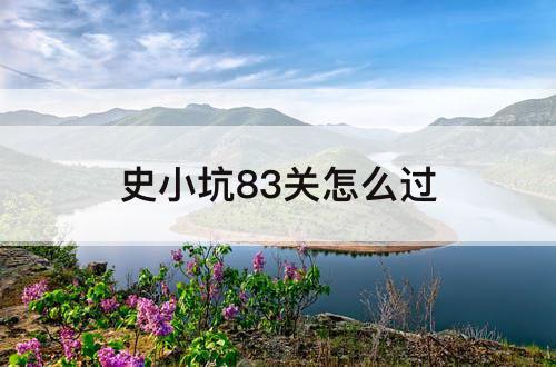 史小坑83关怎么过