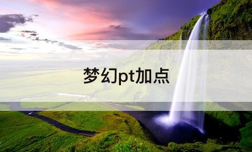 梦幻pt加点