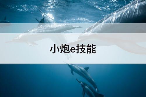 小炮e技能