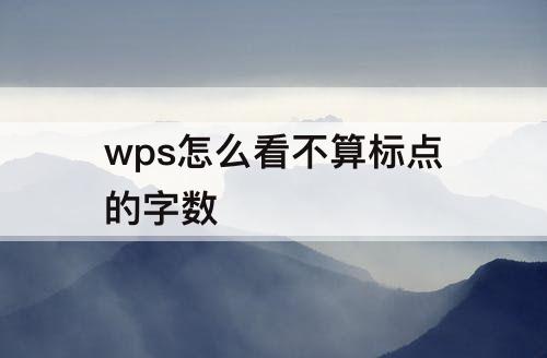 wps怎么看不算标点的字数