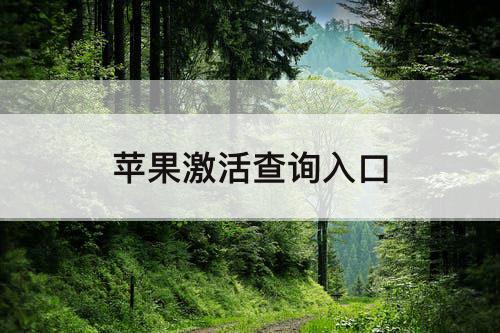 苹果激活查询入口