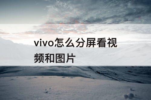 vivo怎么分屏看视频和图片