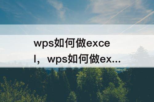 wps如何做excel，wps如何做excel问卷调查表格