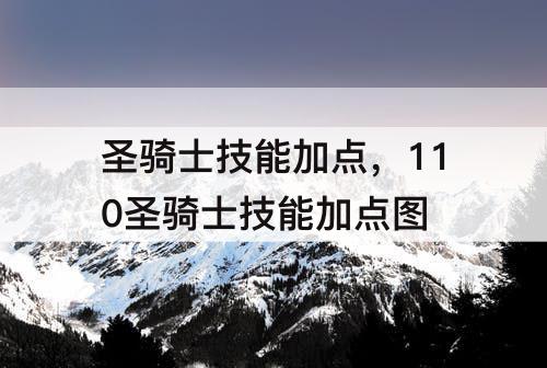 圣骑士技能加点，110圣骑士技能加点图