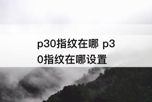 p30指纹在哪 p30指纹在哪设置