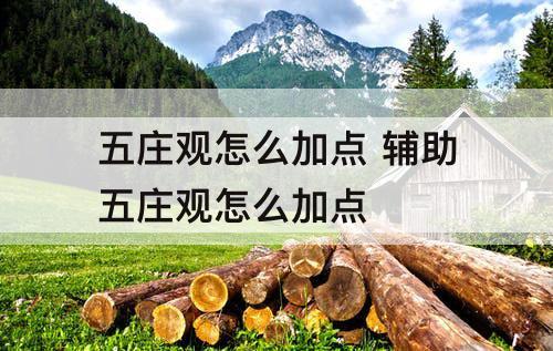 五庄观怎么加点 辅助五庄观怎么加点